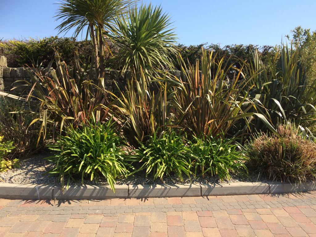 Bearlough Self Catering Holiday Home Rosslare Harbour Екстериор снимка